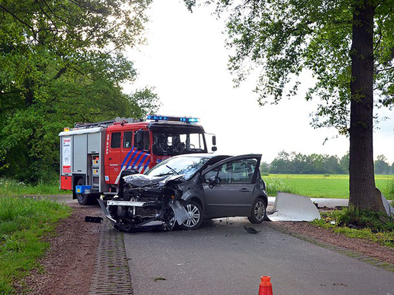 Paard met de schrik vrij