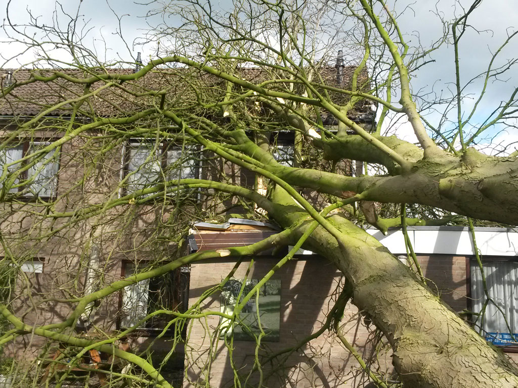 Stormachtige dag in Laren