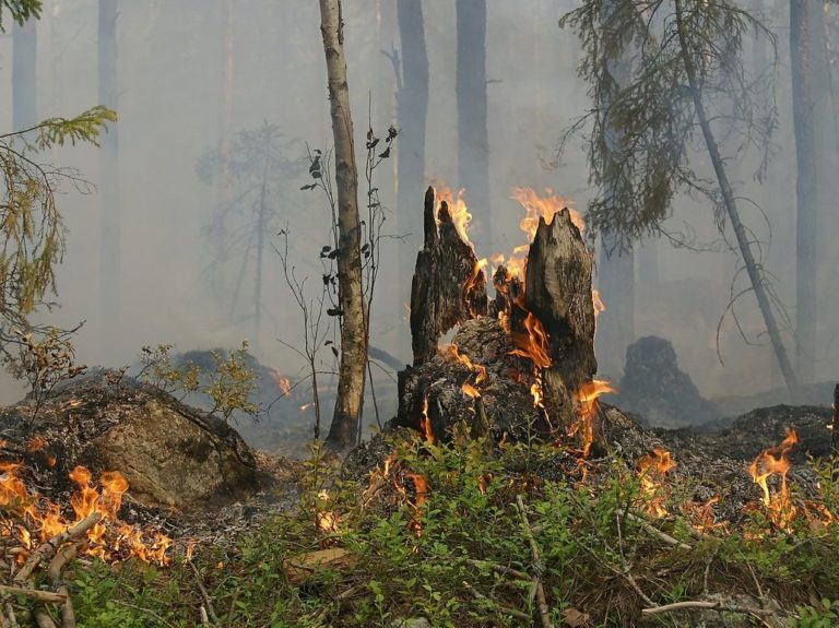 Samen natuurbrand voorkomen!