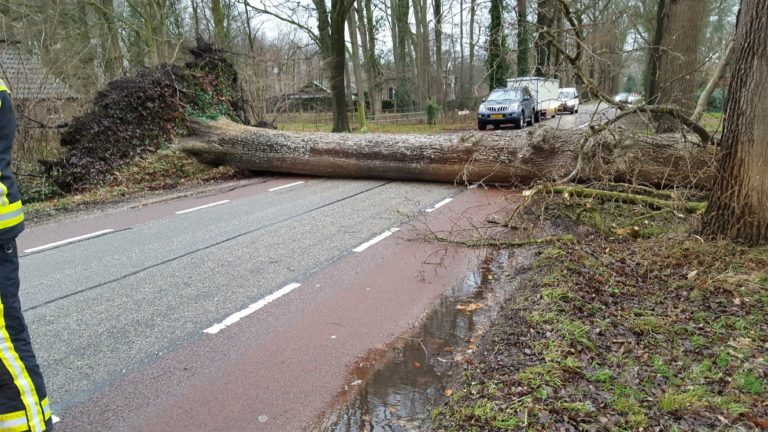 Veel werk door storm