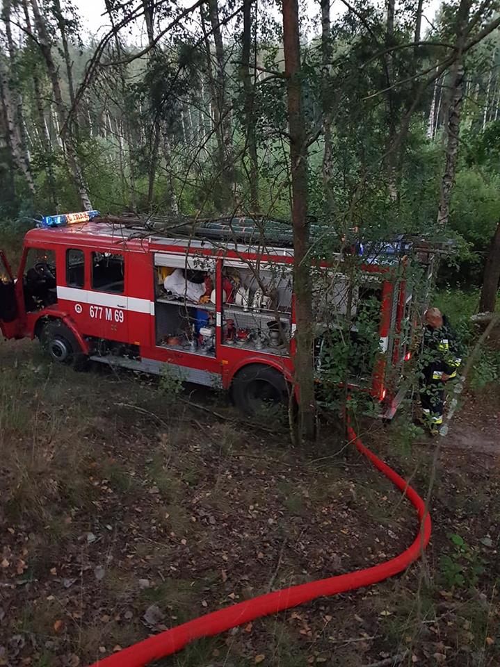 Een oude bekende (2)